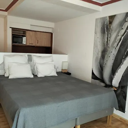 Unique 2-2 Торевьиа